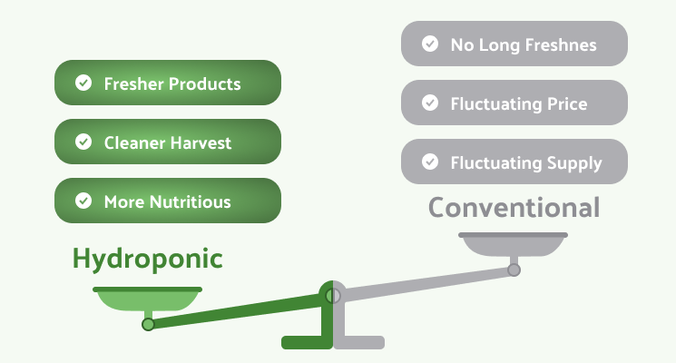 why hydroponic