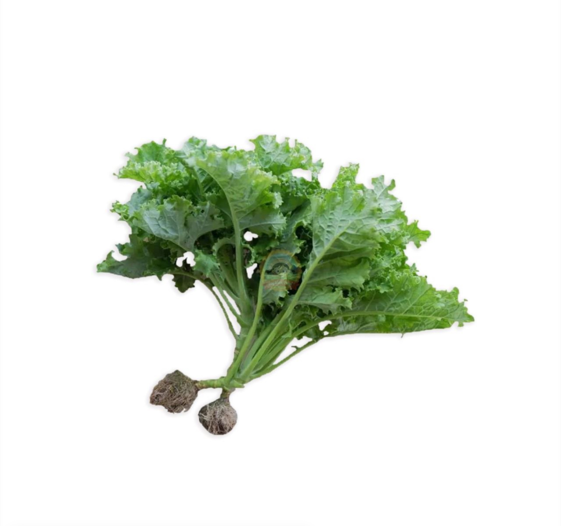 Kale